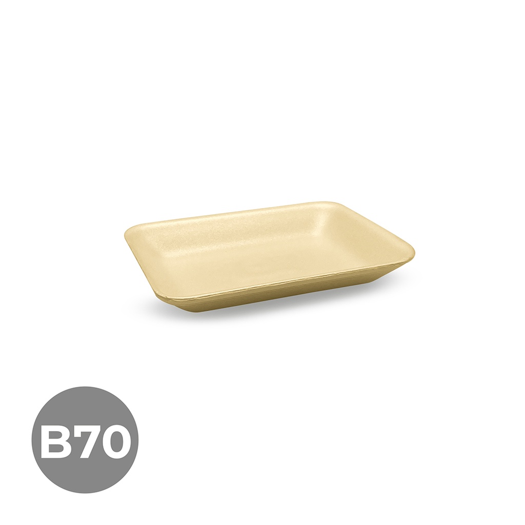 BANDEJA POREX B70 135X180X25 B-900UDS. BIO