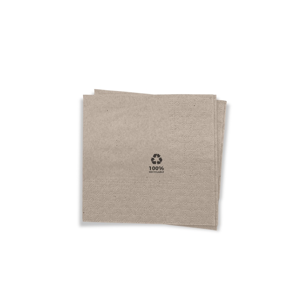 SERVILLETA 20X20 BIO-ECO 60P-100 UDS.