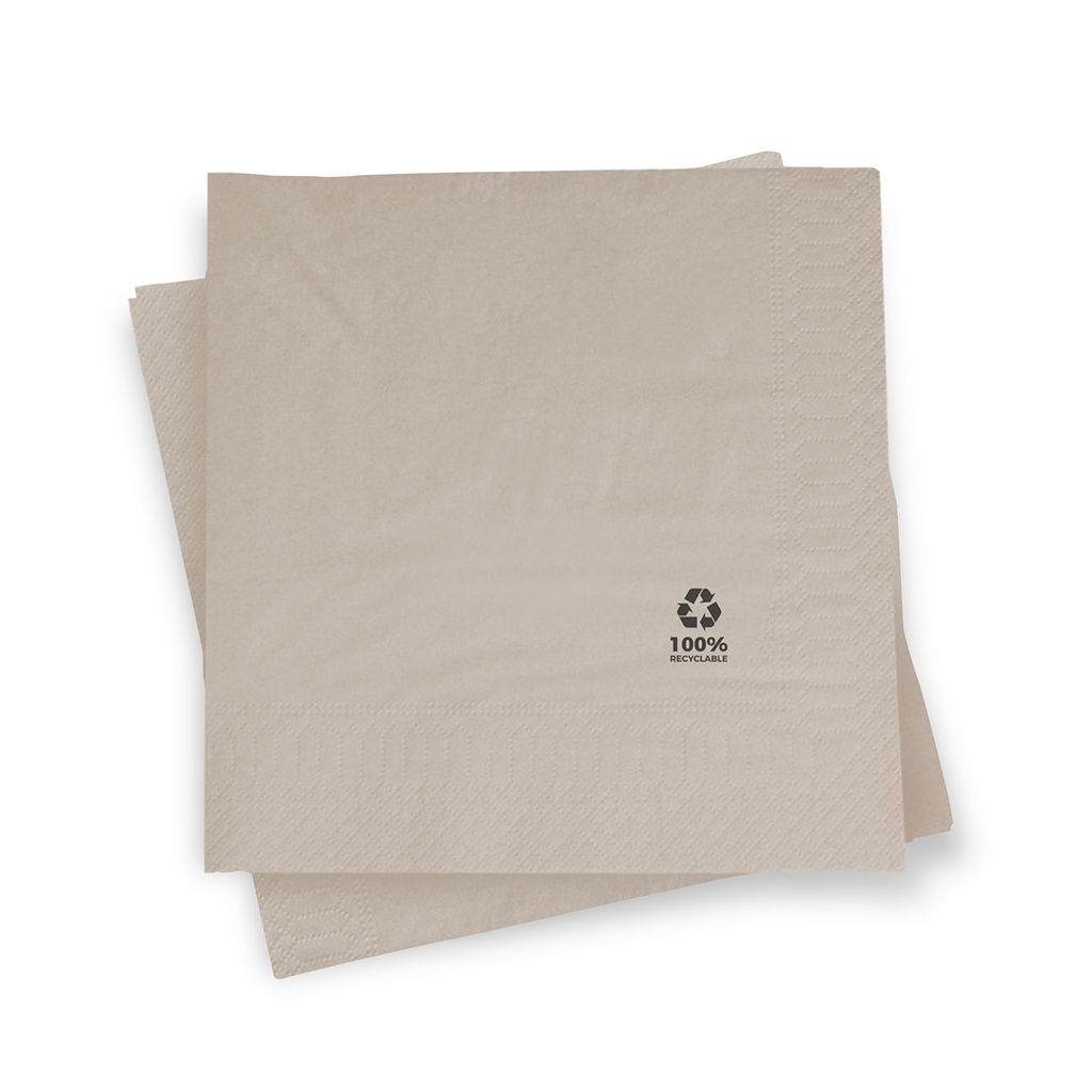 SERVILLETA 40X40 2C BIO-ECO 48P-50 UDS.