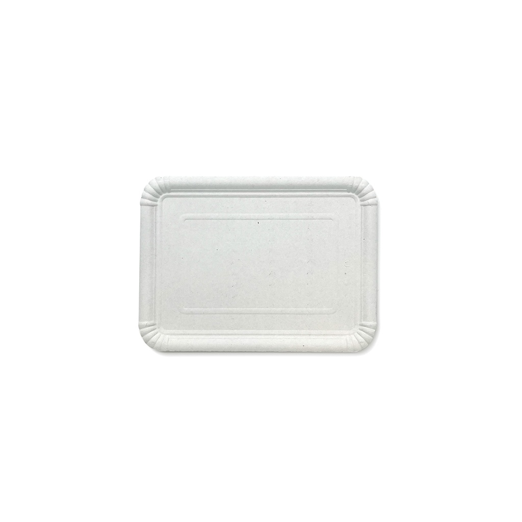 PQT-100 BANDEJA CARTON N7 20X27 (8X100)