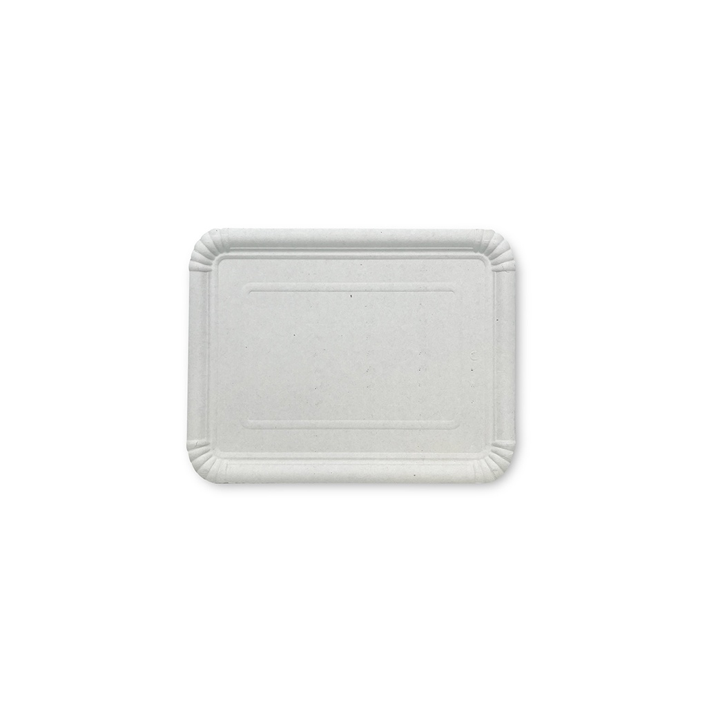PQT-100 BANDEJA CARTON N8 22X28 (6X100)