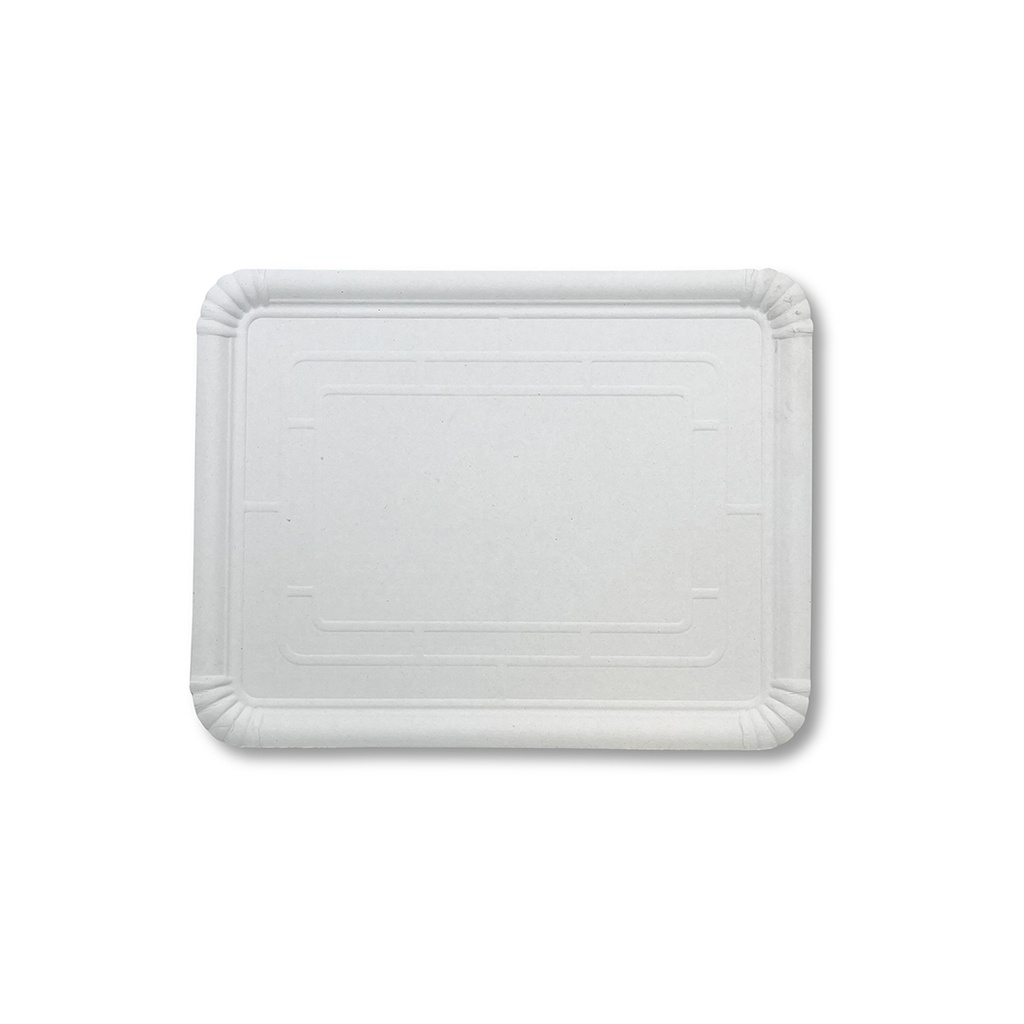 PQT-100 BANDEJA CARTON N11 28X36 (3X100)